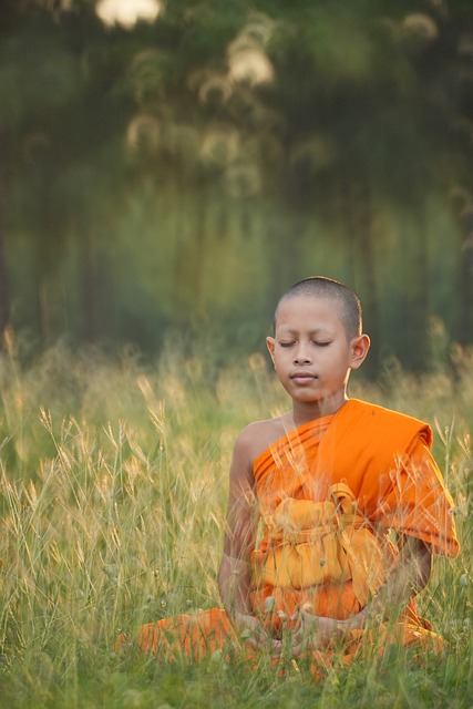 AI meditation app recommendations